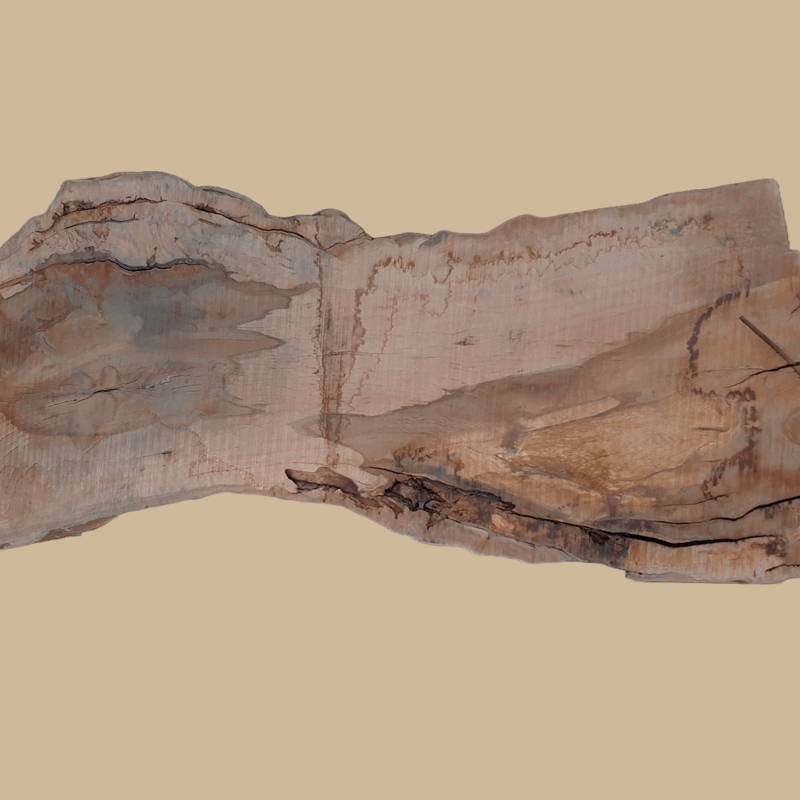0005 - Image 2