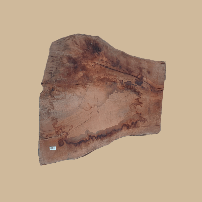 0009 - Image 2