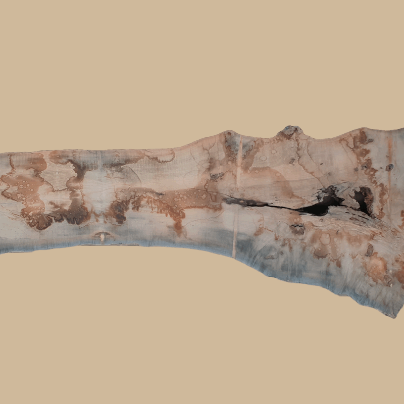 0017 - Image 2