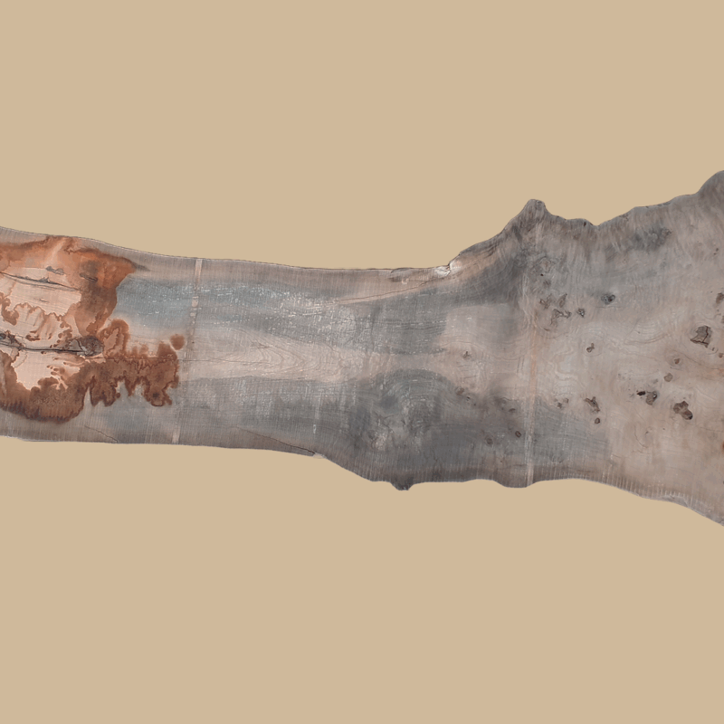 0019 - Image 2