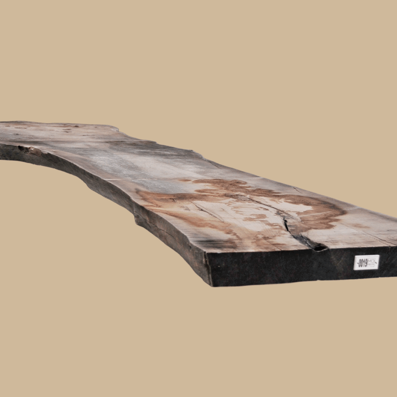 0019 - Image 4