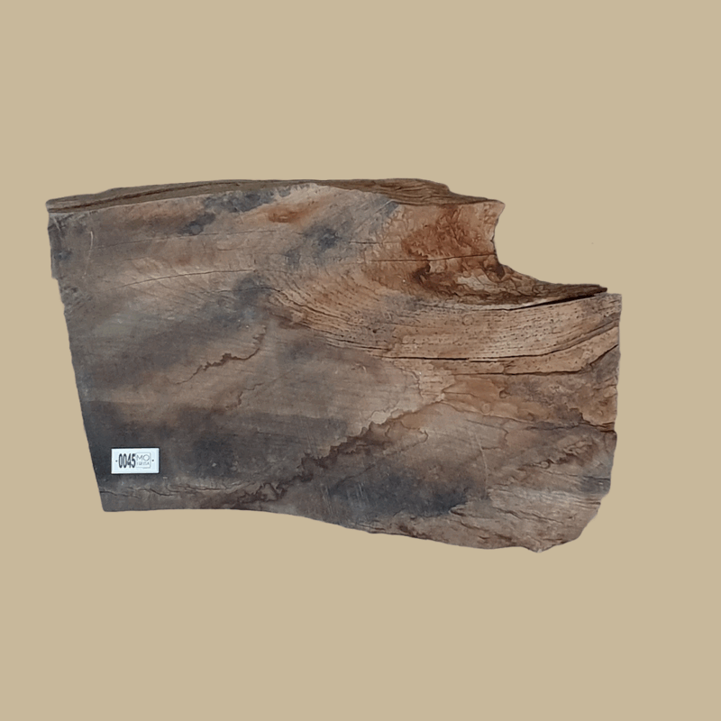 0045 - Image 2