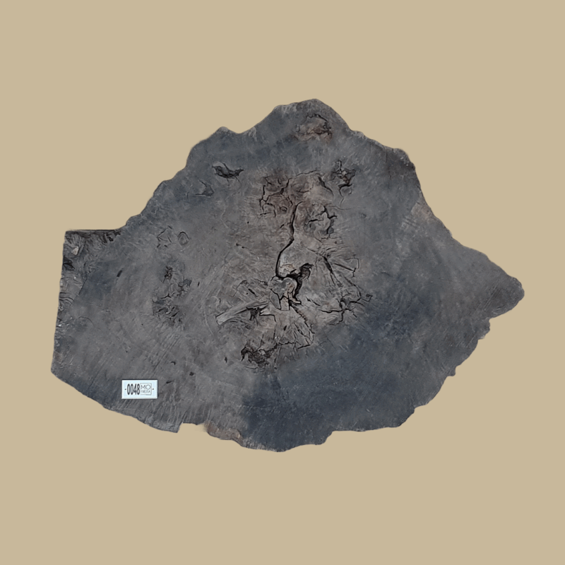 0048 - Image 2