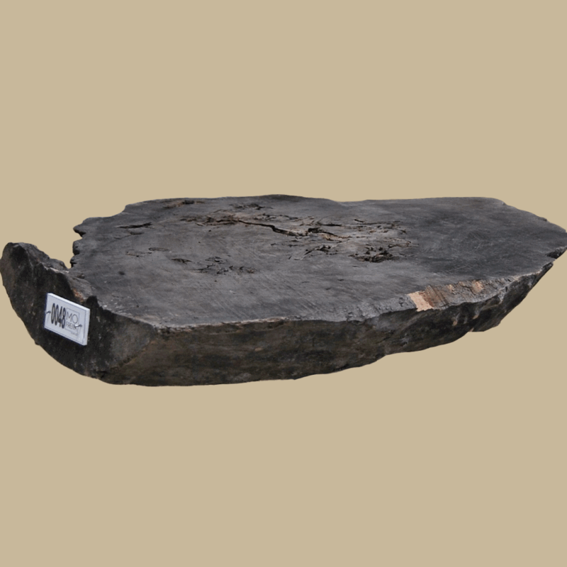 0048 - Image 3