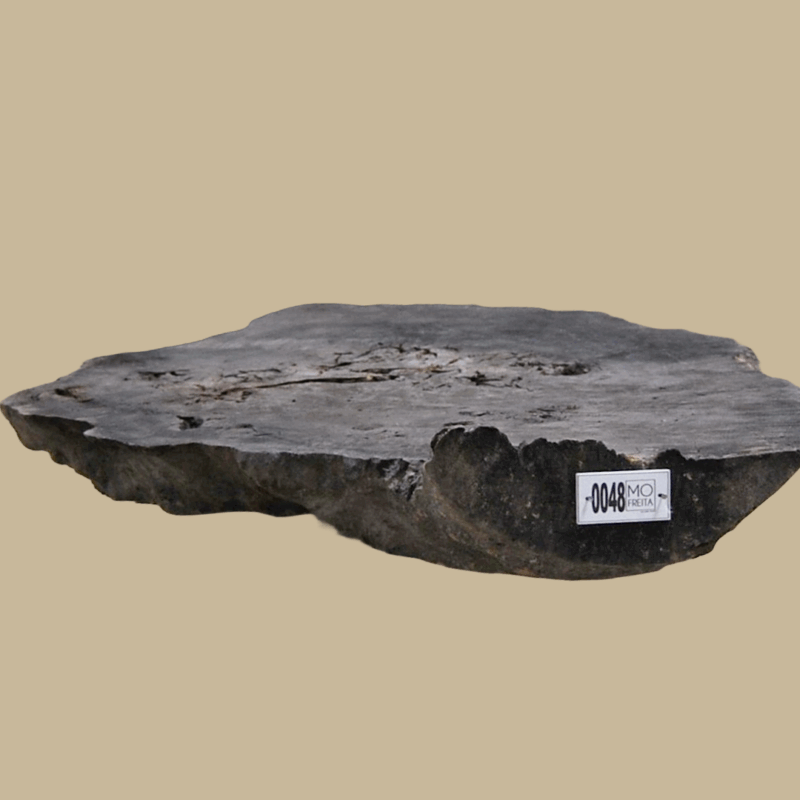 0048 - Image 4