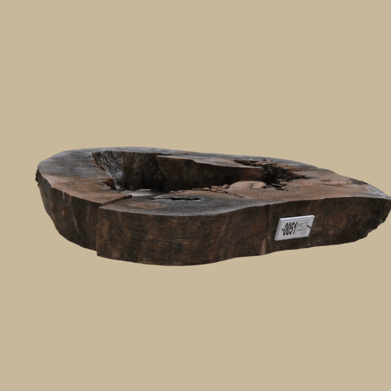 0051 - Image 4