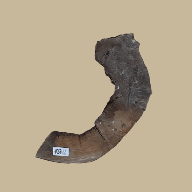 0058 - Image 2