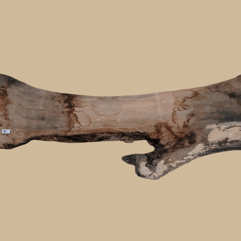 0062 - Image 2