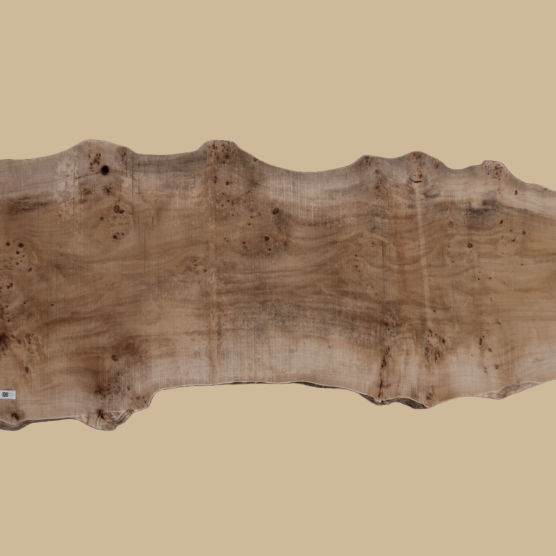 0099 - Image 2